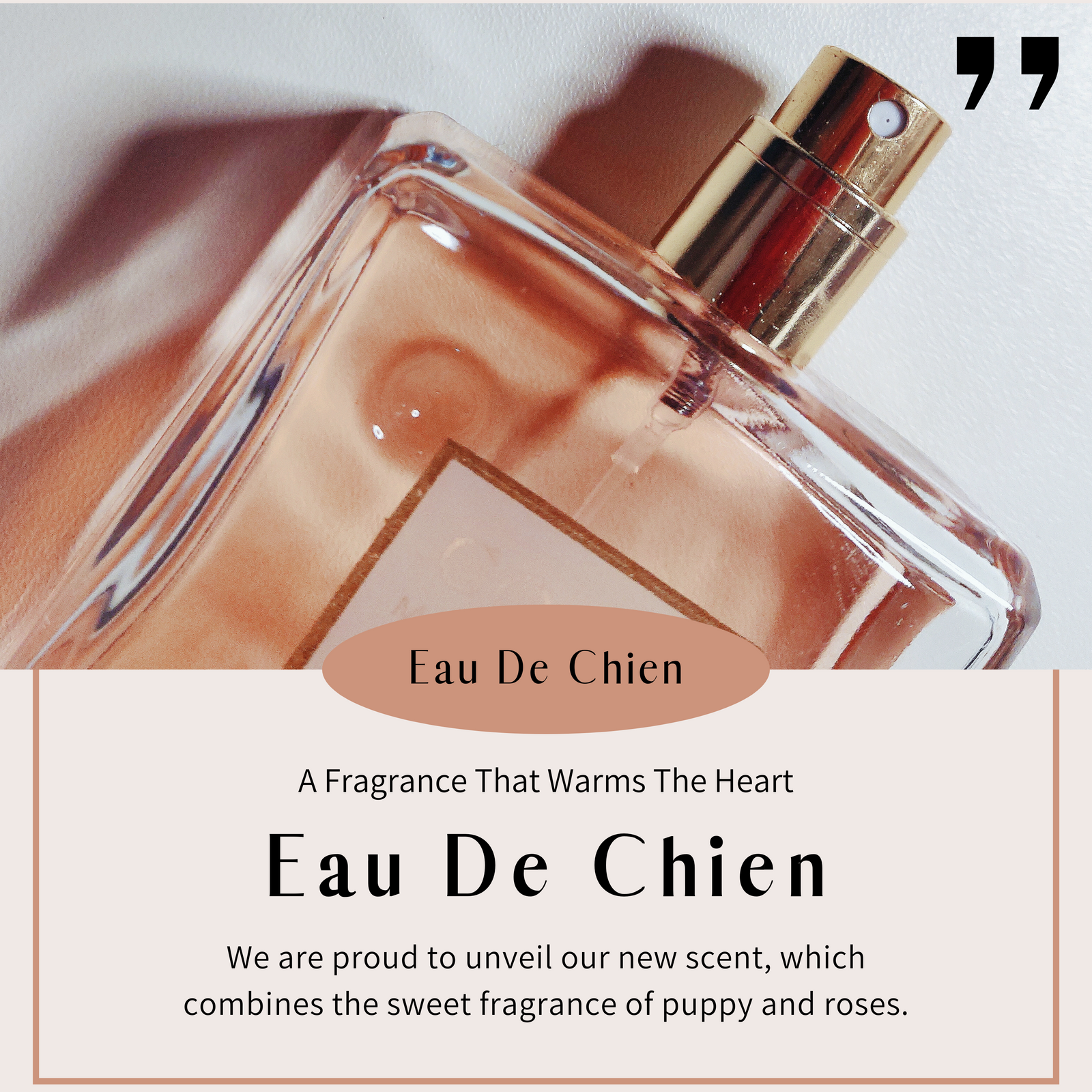 Eau de dog online